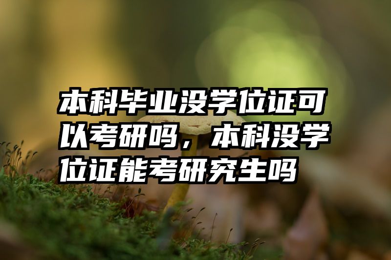 本科毕业没学位证可以考研吗，本科没学位证能考研究生吗