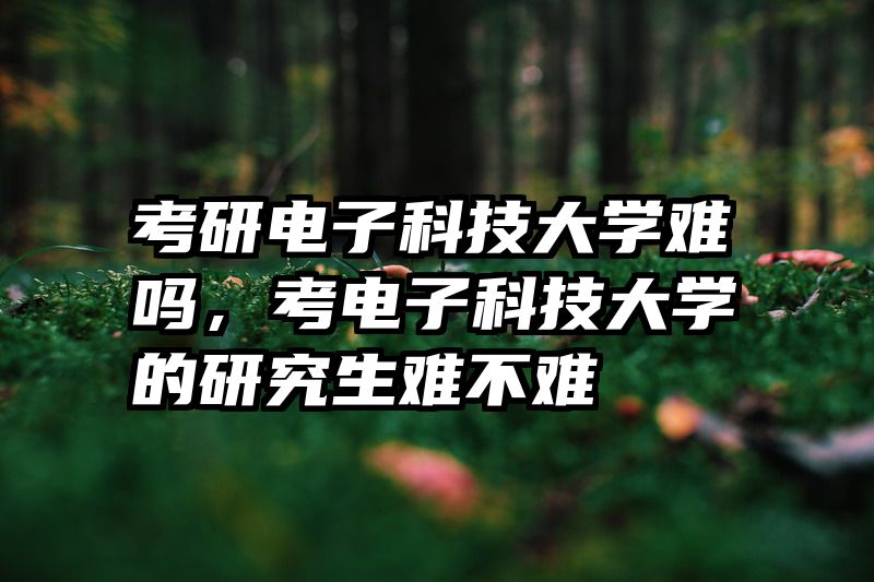 考研电子科技大学难吗,考电子科技大学的研究生难不难