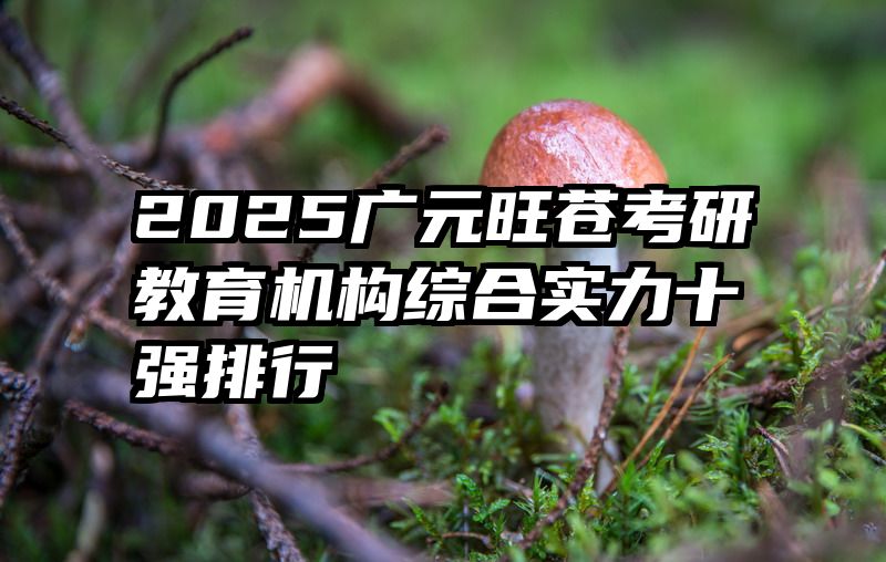 2025广元旺苍考研教育机构综合实力十强排行