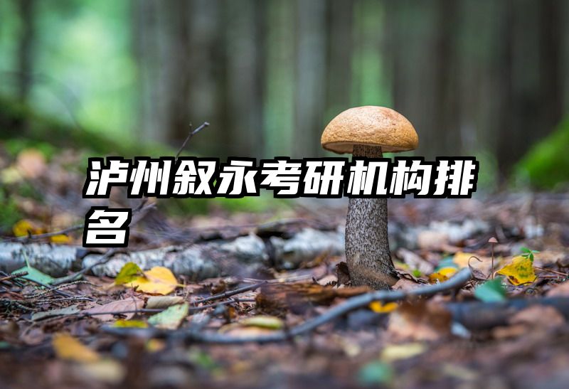 泸州叙永考研机构排名