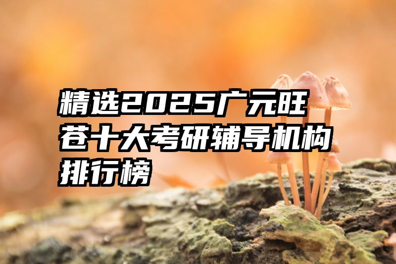 精选2025广元旺苍十大考研辅导机构排行榜