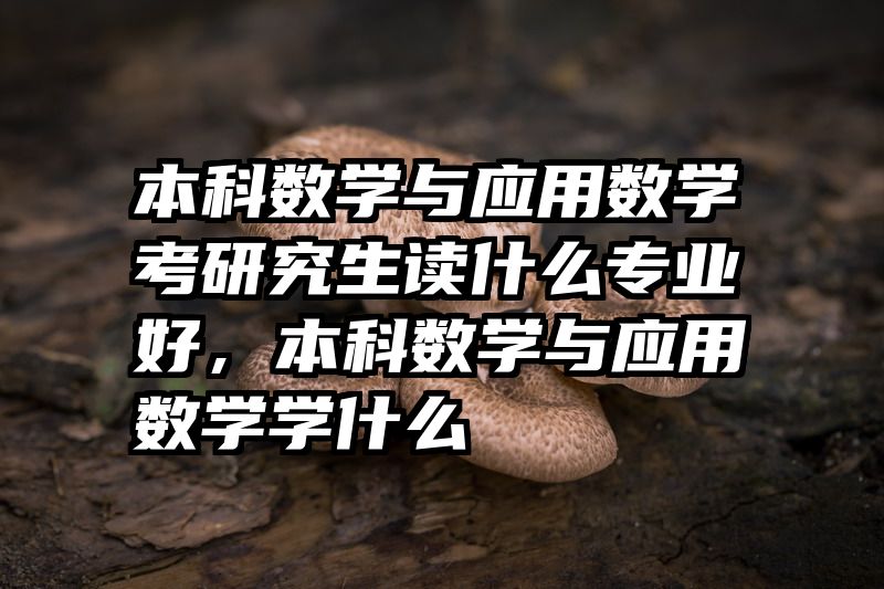 本科数学与应用数学考研究生读什么专业好,本科数学与应用数学学什么
