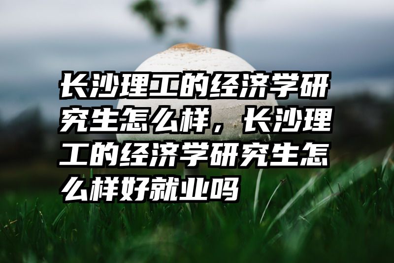 长沙理工的经济学研究生怎么样,长沙理工的经济学研究生怎么样好就业吗
