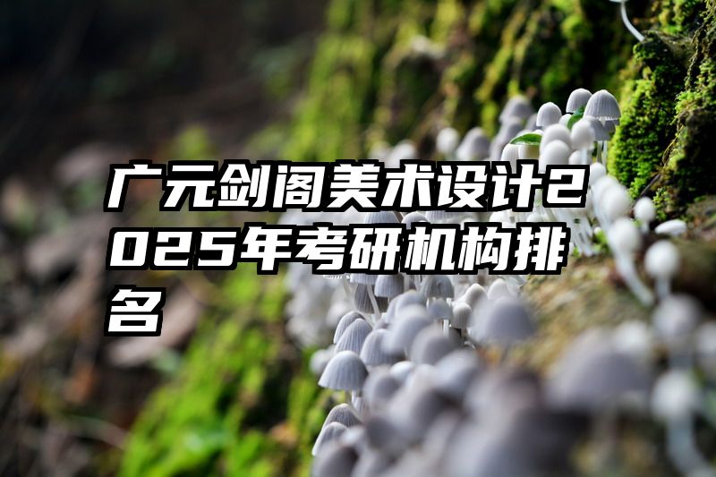 广元剑阁美术设计2025年考研机构排名