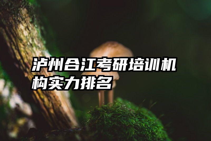 泸州合江考研培训机构实力排名