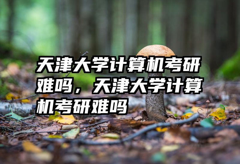 天津大学计算机考研难吗，天津大学计算机考研难吗