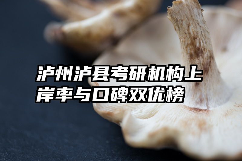 泸州泸县考研机构上岸率与口碑双优榜