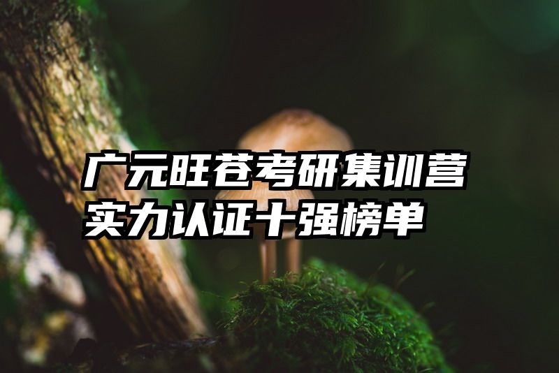 广元旺苍考研集训营实力认证十强榜单