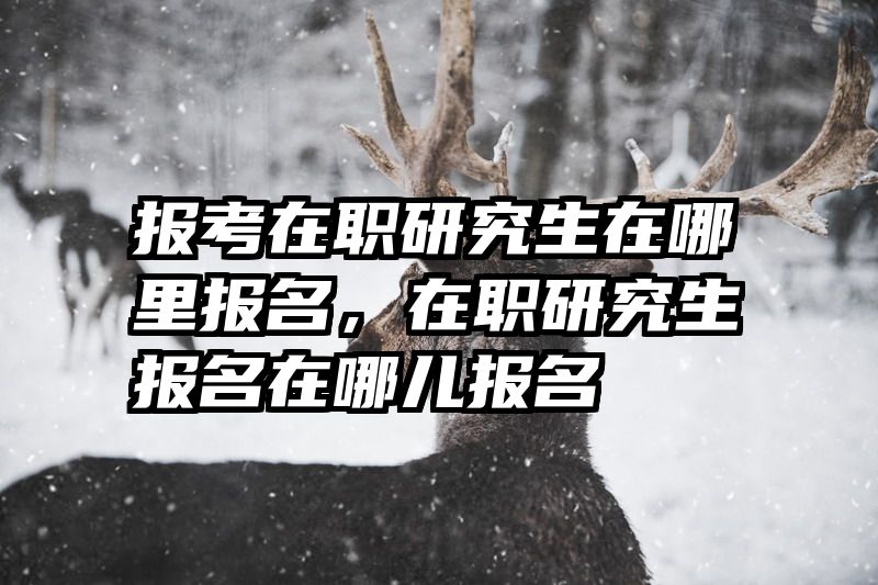 报考在职研究生在哪里报名,在职研究生报名在哪儿报名