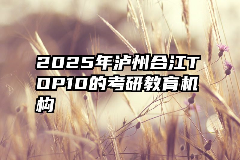 2025年泸州合江TOP10的考研教育机构