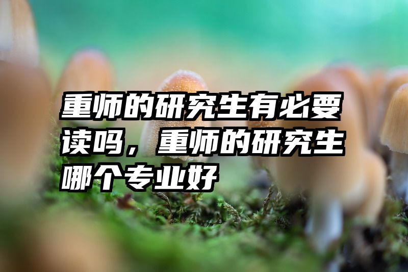 重师的研究生有必要读吗,重师的研究生哪个专业好