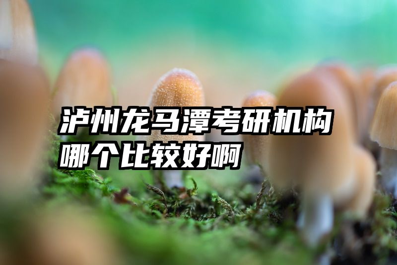 泸州龙马潭考研机构哪个比较好啊