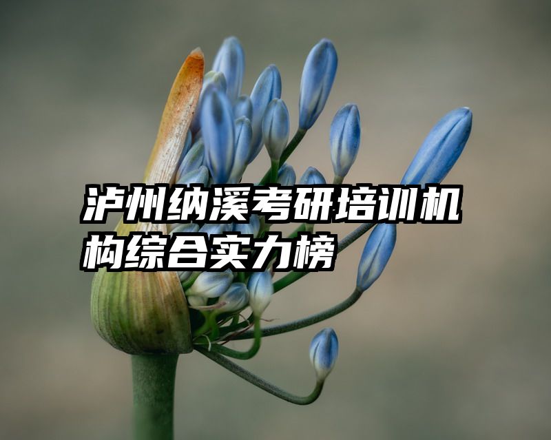 泸州纳溪考研培训机构综合实力榜