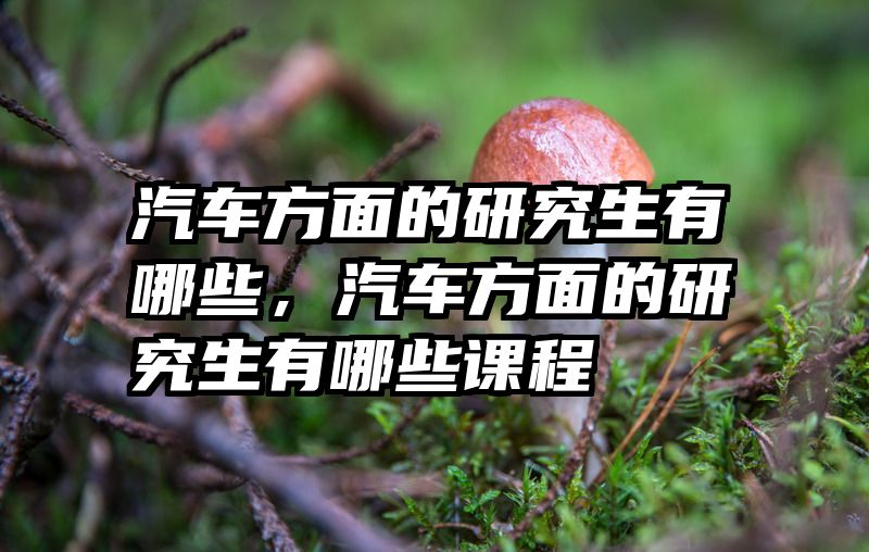 汽车方面的研究生有哪些,汽车方面的研究生有哪些课程