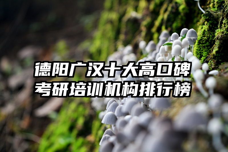 德阳广汉十大高口碑考研培训机构排行榜