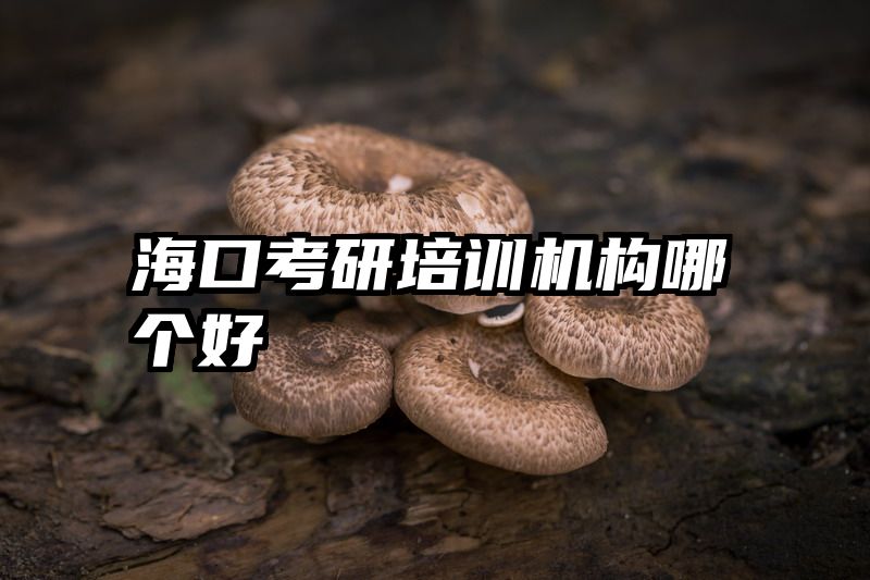 海口考研培训机构哪个好