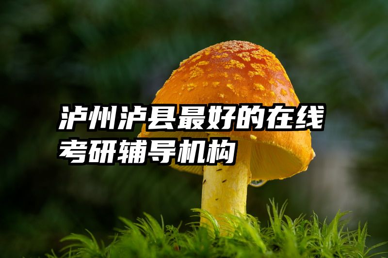 泸州泸县最好的在线考研辅导机构