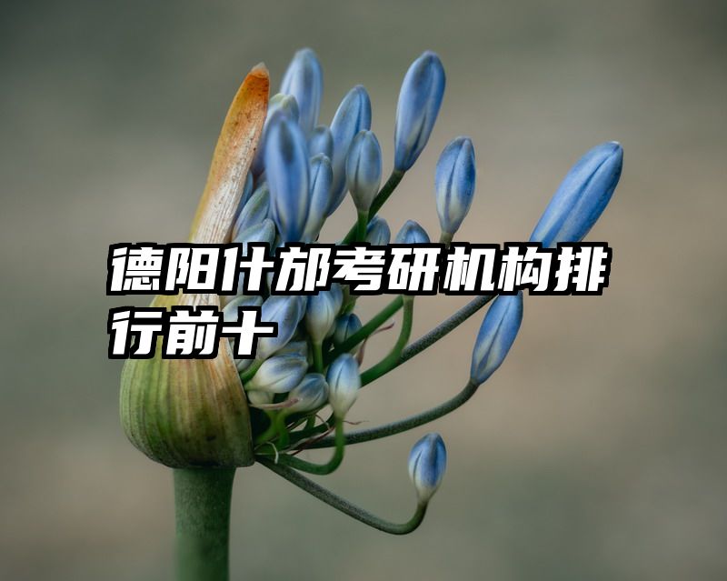 德阳什邡考研机构排行前十