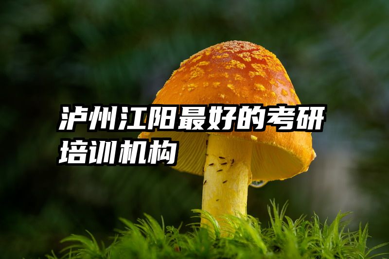 泸州江阳最好的考研培训机构