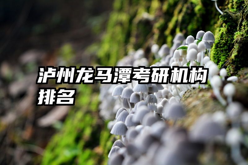 泸州龙马潭考研机构排名