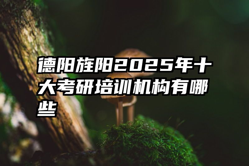 德阳旌阳2025年十大考研培训机构有哪些