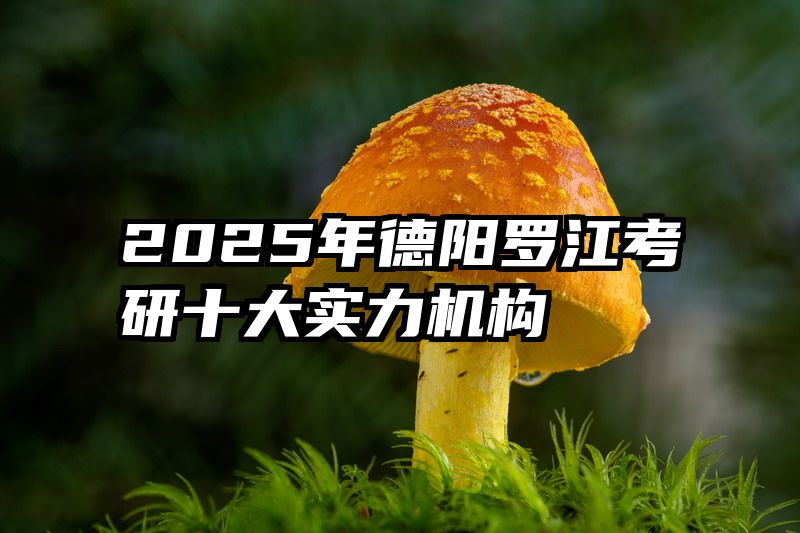 2025年德阳罗江考研十大实力机构