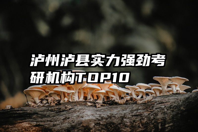 泸州泸县实力强劲考研机构TOP10