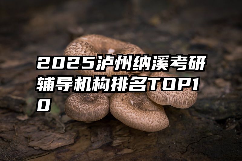 2025泸州纳溪考研辅导机构排名TOP10