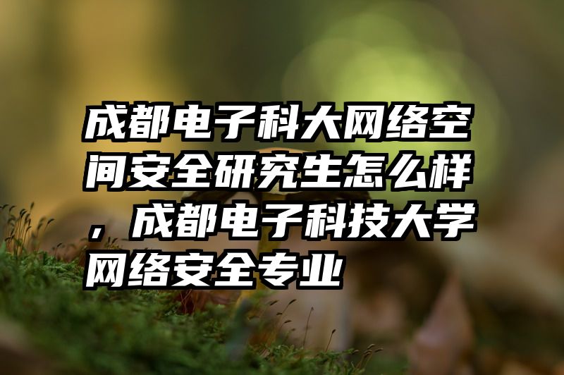 成都电子科大网络空间安全研究生怎么样，成都电子科技大学网络安全专业