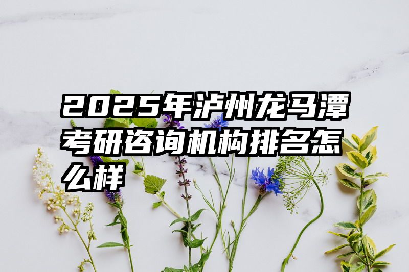 2025年泸州龙马潭考研咨询机构排名怎么样