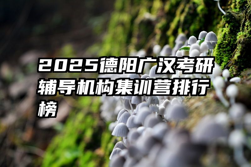 2025德阳广汉考研辅导机构集训营排行榜