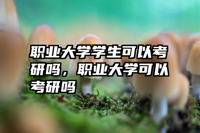 职业大学学生可以考研吗,职业大学可以考研吗