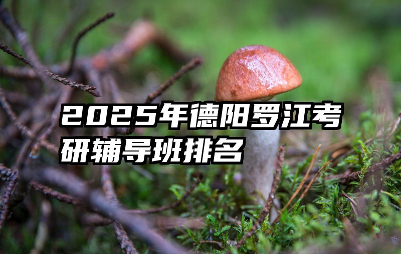 2025年德阳罗江考研辅导班排名