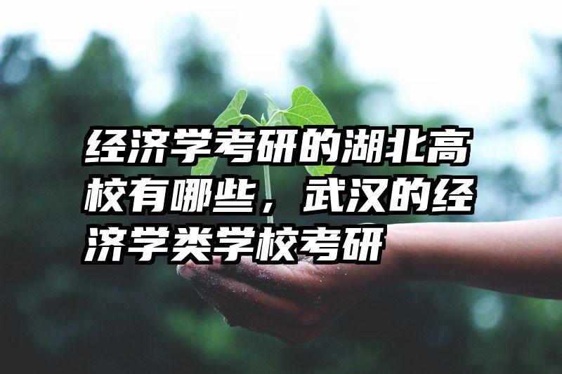 经济学考研的湖北高校有哪些，武汉的经济学类学校考研