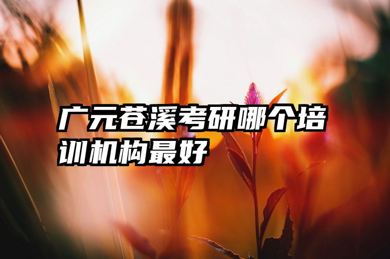 广元苍溪考研哪个培训机构最好