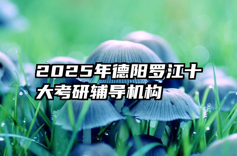 2025年德阳罗江十大考研辅导机构