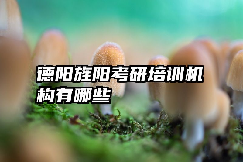 德阳旌阳考研培训机构有哪些