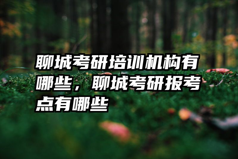 聊城考研培训机构有哪些，聊城考研报考点有哪些