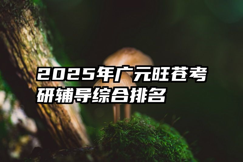 2025年广元旺苍考研辅导综合排名