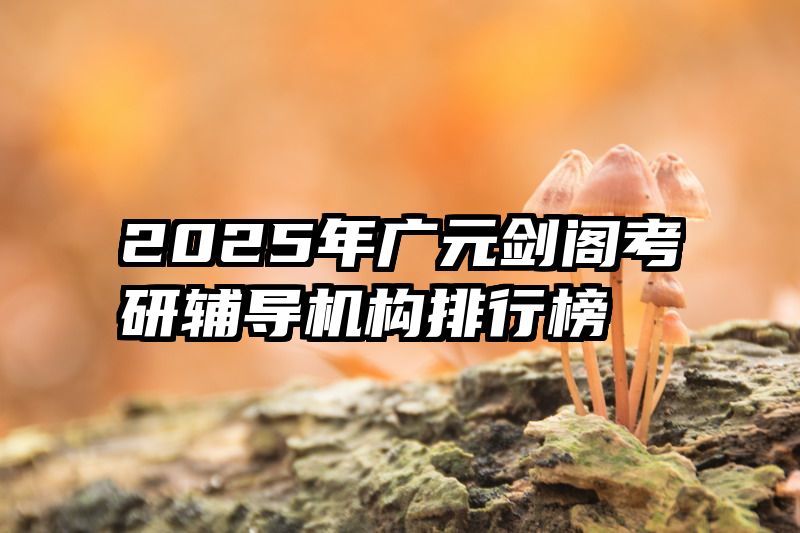 2025年广元剑阁考研辅导机构排行榜