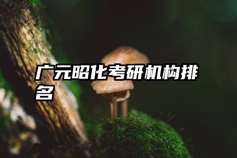 广元昭化考研机构排名