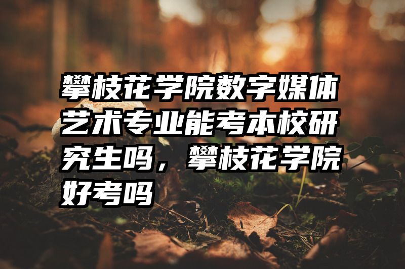 攀枝花学院数字媒体艺术专业能考本校研究生吗,攀枝花学院好考吗
