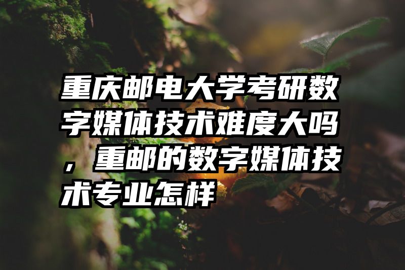重庆邮电大学考研数字媒体技术难度大吗，重邮的数字媒体技术专业怎样