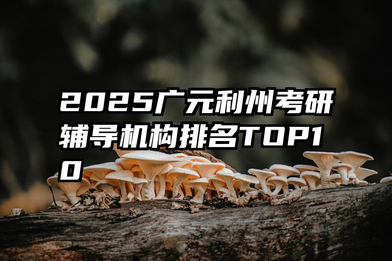 2025广元利州考研辅导机构排名TOP10