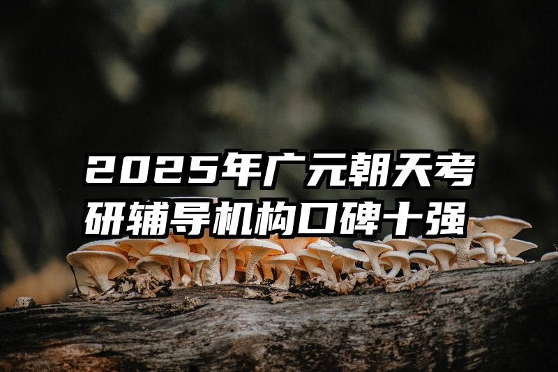 2025年广元朝天考研辅导机构口碑十强