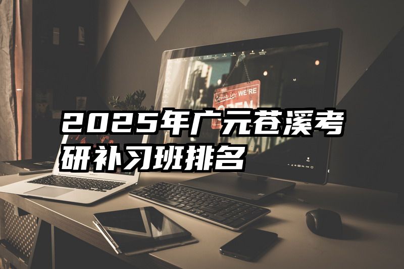 2025年广元苍溪考研补习班排名