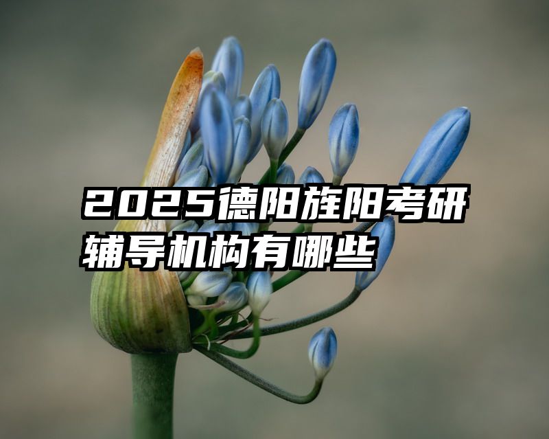 2025德阳旌阳考研辅导机构有哪些