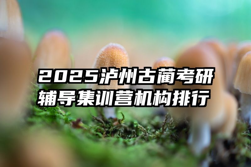 2025泸州古蔺考研辅导集训营机构排行