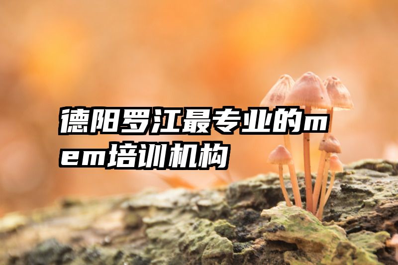 德阳罗江最专业的mem培训机构