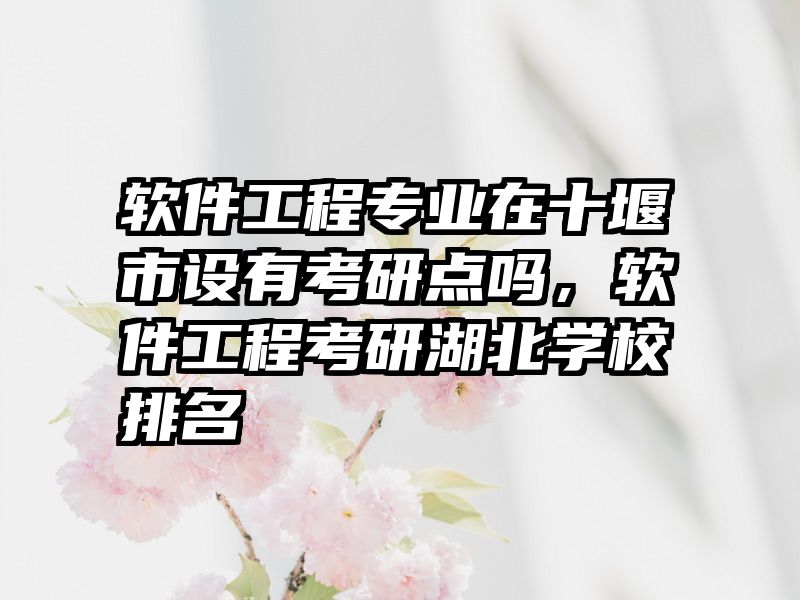 软件工程专业在十堰市设有考研点吗，软件工程考研湖北学校排名